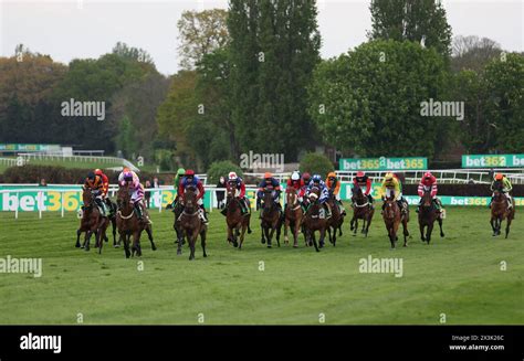 bet365 Gold Cup Runners: The Field For 2024 Season Finale.